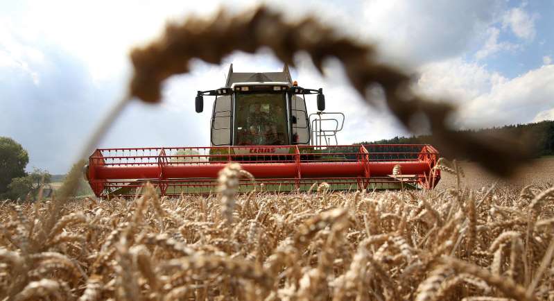 Concern about the supply of food