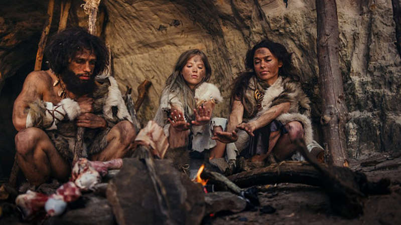 Scientific digest: how viruses change the genetic alphabet and the difficult female share of the Neolithic era