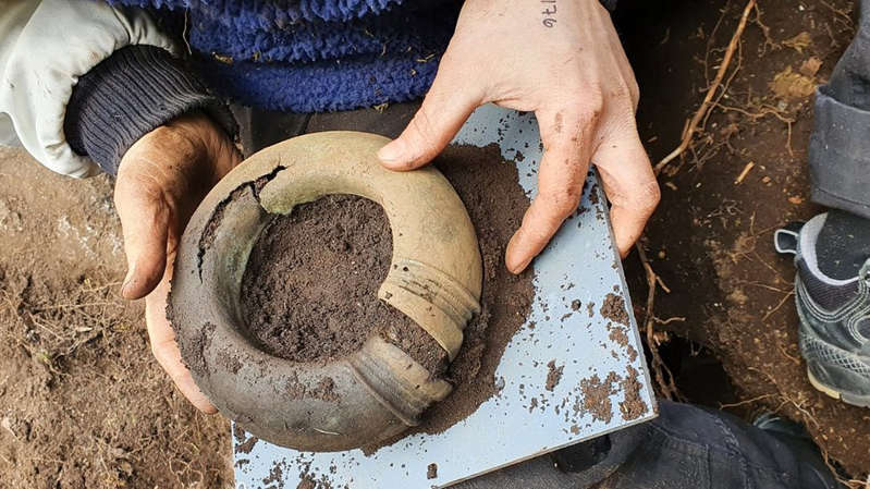 Necklaces, bracelets and hairpins: a Bronze Age treasure found in a forest in Sweden