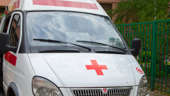 A poultry farm is on fire in the Chelyabinsk region