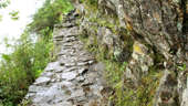 Chronicle of nature: a meteorological station appeared in the Zigalga National Park