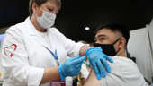 Decipher and neutralize: how are vaccines created at the Vector Research Center?