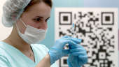 Decipher and neutralize: how are vaccines created at the Vector Research Center?