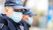 Decipher and neutralize: how are vaccines created at the Vector Research Center?