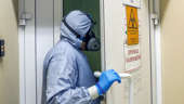 Decipher and neutralize: how are vaccines created at the Vector Research Center?