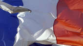 Chile will ease quarantine due to drop in COVID-19 incidence