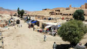 Chile will ease quarantine due to drop in COVID-19 incidence
