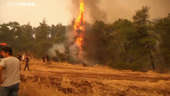 Germany: protect the environment and villages