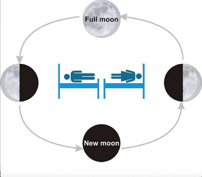 Scientists: Men react to moon phases more strongly than women