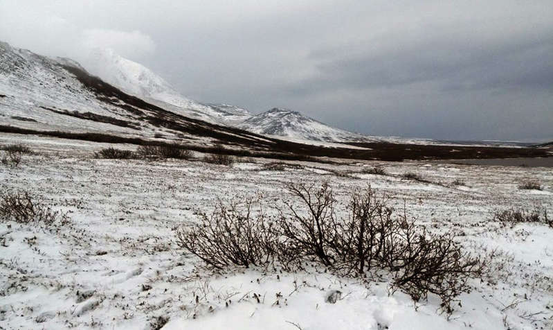 A site for the construction of the Snezhinka geomagnetic observatory was chosen in Yamal