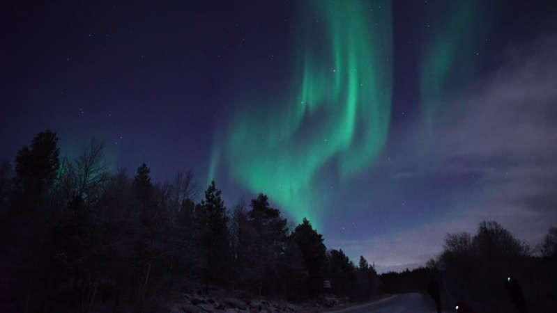 Northern lights in the sky over the Murmansk region showed on video