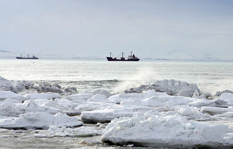 Scientists predicted a catastrophe on Earth due to global warming