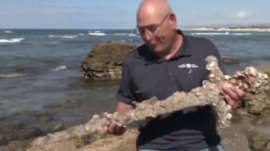 A 900-year-old sword caught in the Mediterranean was filmed
