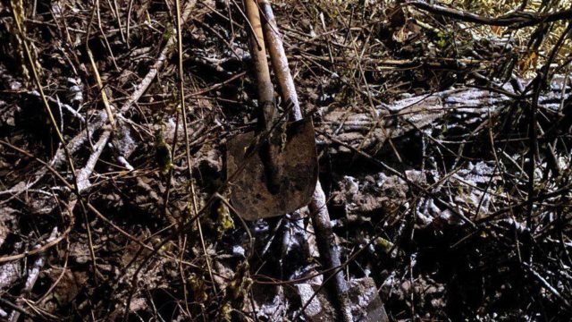  Doused with chemicals and buried: the remains of a 23-year-old girl from Transcarpathia were found in the Kiev region 