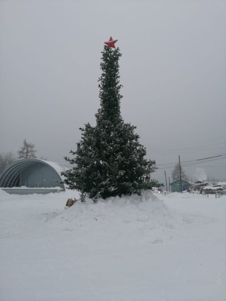 Russians were outraged by the erotic New Year tree -