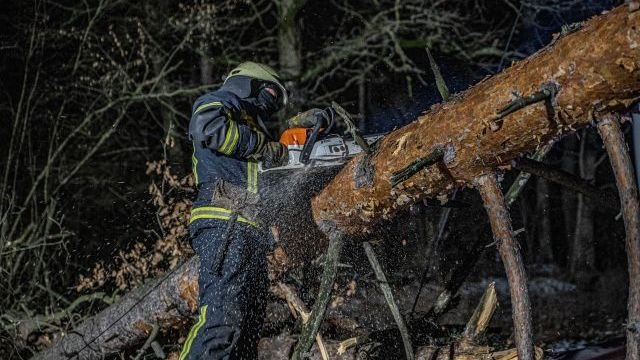 Fallen trees, road accidents and damaged power grid: consequences of bad weather in Ukraine