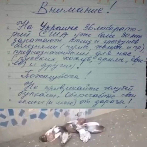  The National Security and Defense Council warns that Russia is preparing new provocations in Belgorod: it will blame Ukraine