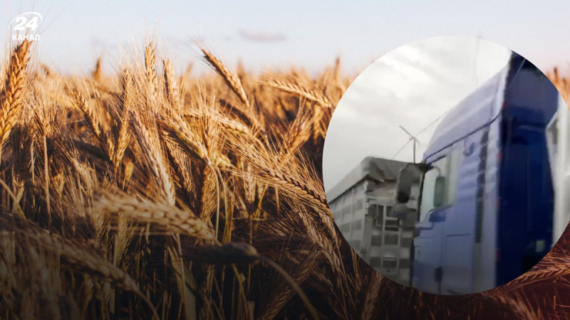 There is a whole caravan of trucks from Kherson to Crimea: Russia takes out the loot
