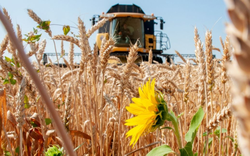 &quot ;Don't buy stolen goods: Kuleba on grain exported from Ukraine >Foreign Minister of Ukraine <strong>Dmytro Kuleba</strong> called on all states not to buy grain stolen by Russia in Ukraine.</p>
<p>The head of the Ukrainian Foreign Ministry wrote about this on Twitter.</p>
<p>“Russian thieves steal Ukrainian grain, load it on ships that pass through the Bosphorus and try to sell it abroad.I call on all states to be vigilant and refuse any such offers.Do not buy stolen.Do not become accomplices in Russian crimes.Theft never to anyone did not bring good luck,” the message reads.</p>
<blockquote class=