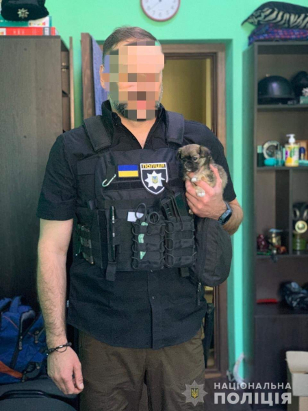 Police officer rescued a puppy and named him Azov: a touching story 