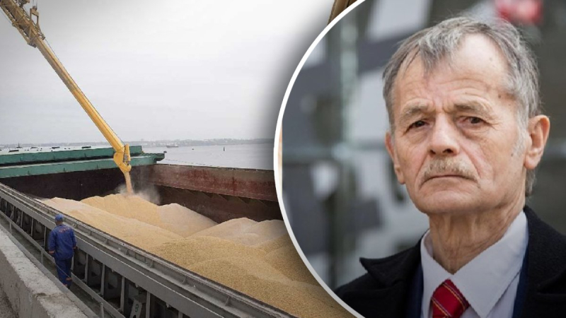 Turkey handed over a list of Russian ships that export Ukrainian wheat