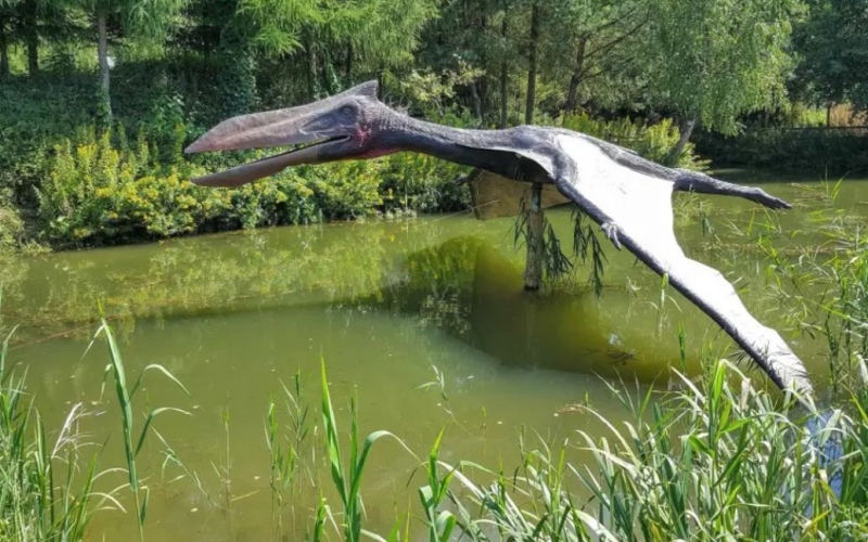 Giant "dragon unearthed in Argentina death"