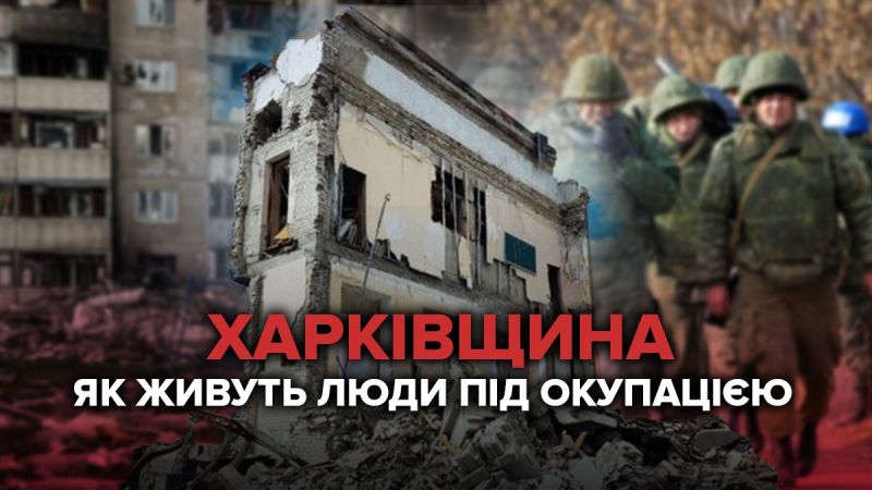 This is terrorism, – the winner of the 