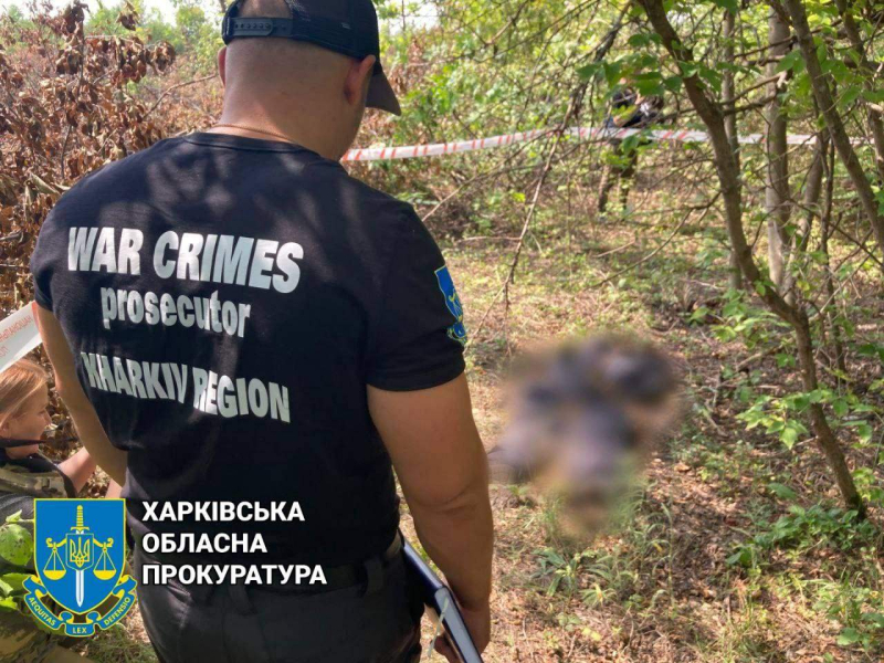 The body of a man with his hands tied was found in the Kharkiv region: the invaders could have killed him