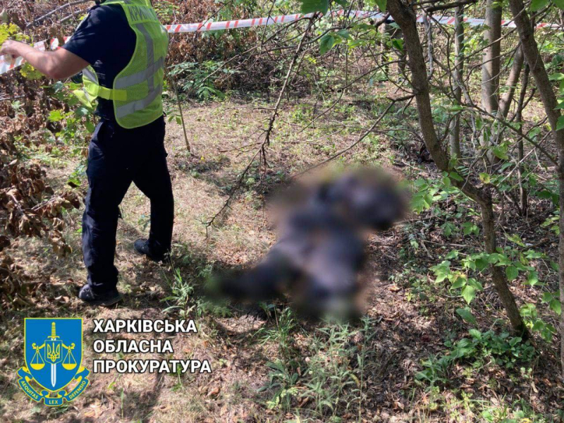 The body of a man with his hands tied was found in the Kharkiv region: the invaders could have killed him