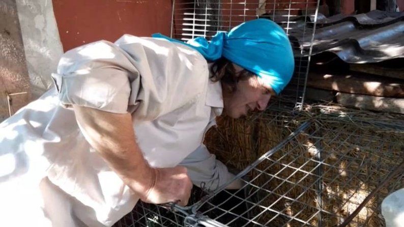 Timka the soothsayer groundhog from Kharkov is alive and well: nice shots