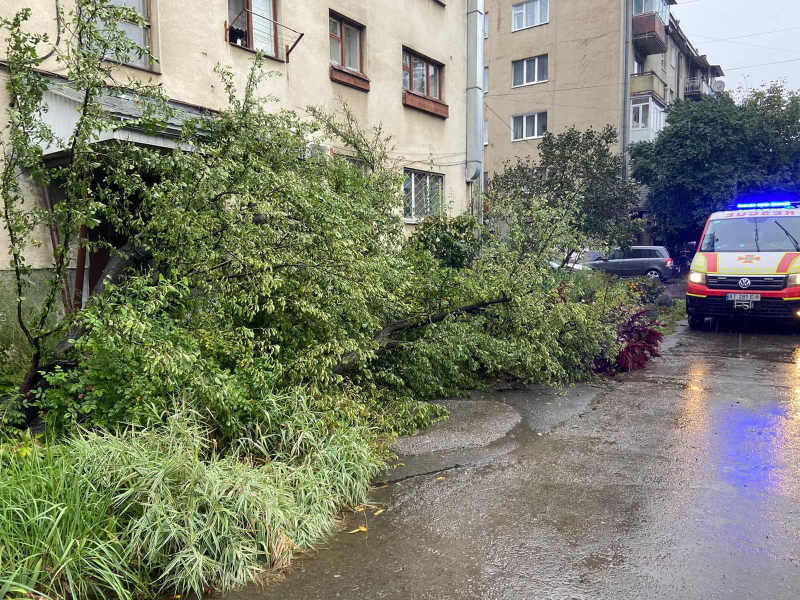 Heavy downpour covered Ivano-Frankivsk: houses flooded, trees felled