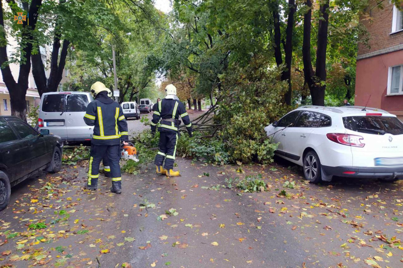 Damaged buildings and trees: bad weather swept across Ukraine