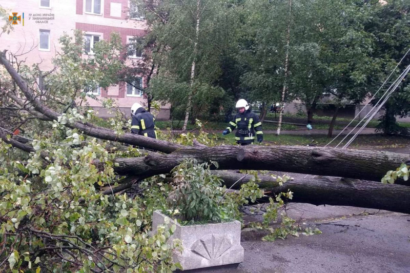 Damaged buildings and trees: bad weather swept across Ukraine