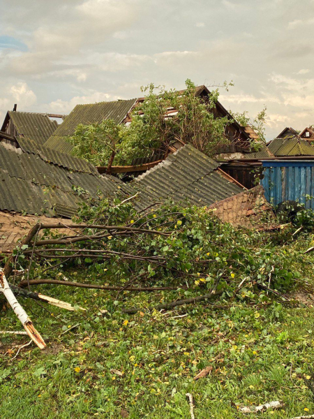 Roofs torn off, broken trees and casualties: terrible weather hit the Kursk region