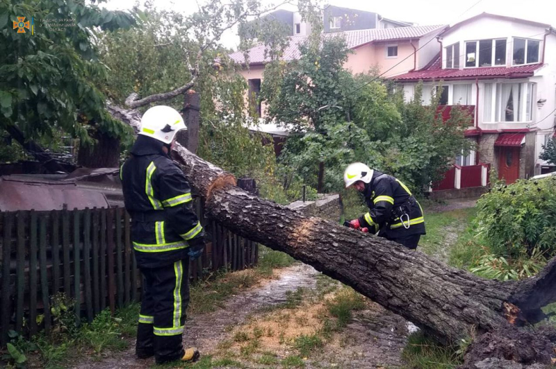 Damaged buildings and trees: bad weather swept across Ukraine