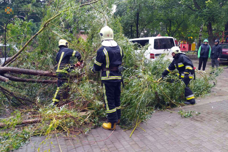 Damaged buildings and trees: bad weather swept across Ukraine