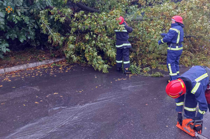 Damaged buildings and trees: bad weather swept across Ukraine