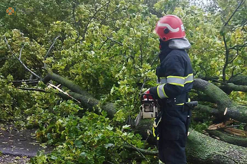 Damaged buildings and trees: bad weather swept through Ukraine