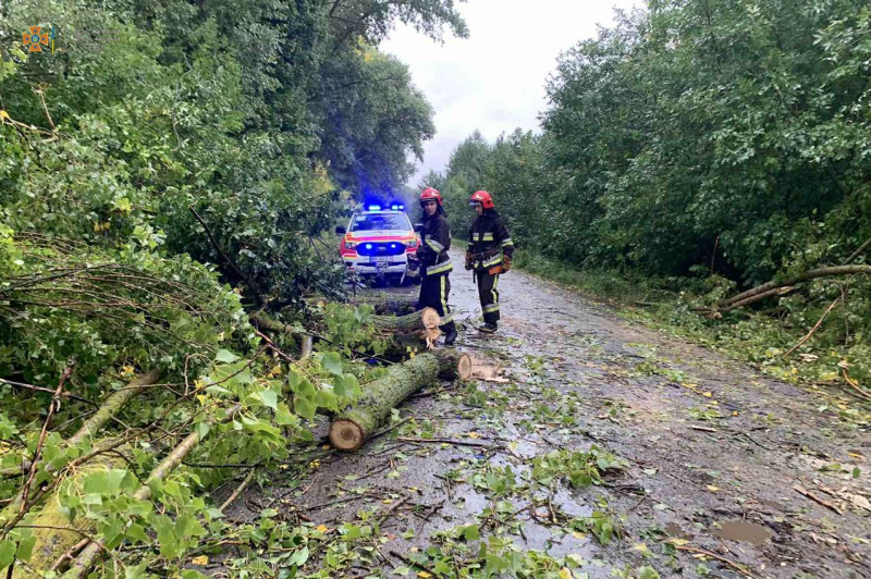 Damaged buildings and trees: bad weather swept across Ukraine