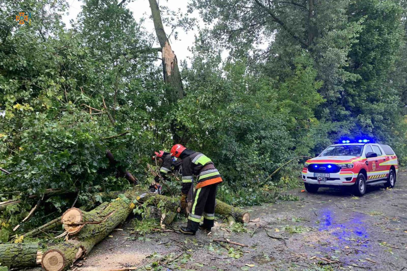 Damaged Buildings and Trees: Bad Weather Sweeps Ukraine