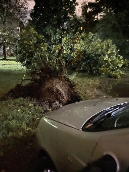 Roofs torn off, broken trees and casualties: a terrible storm hit the Kursk region