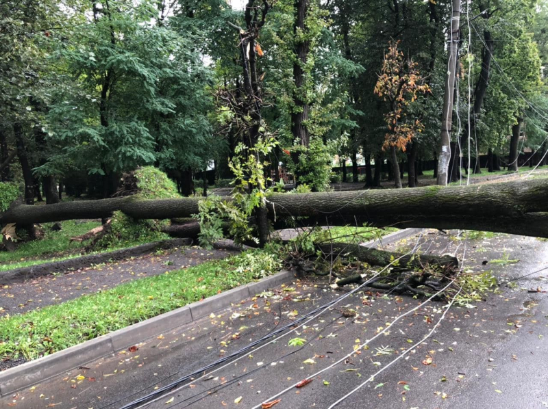 Damaged buildings and trees: bad weather swept across Ukraine