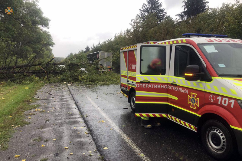 Damaged Buildings and Trees: Bad Weather Sweeps Ukraine