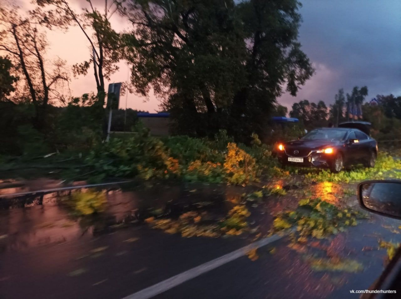 Torn off roofs, broken trees and casualties: terrible weather hit the Kursk region