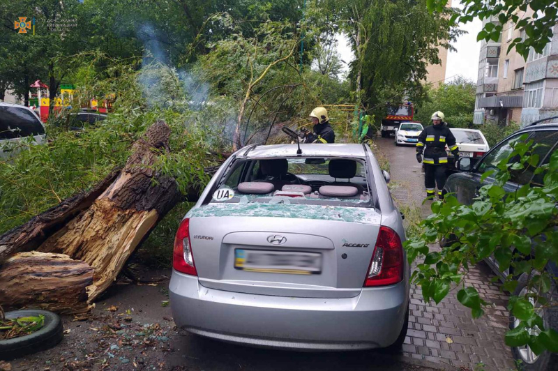 Damaged buildings and trees: bad weather swept across Ukraine