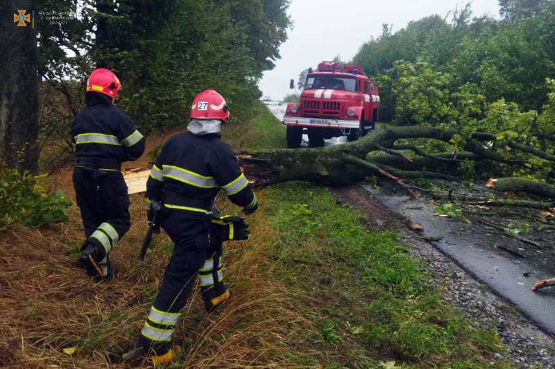 Damaged Buildings and Trees: Bad Weather Sweeps Ukraine