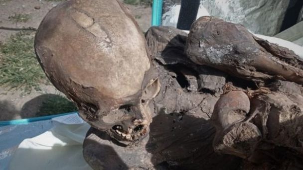 Girlfriend Juanita: 800-year-old mummy found in bag of food delivery man, with whom he shared a room