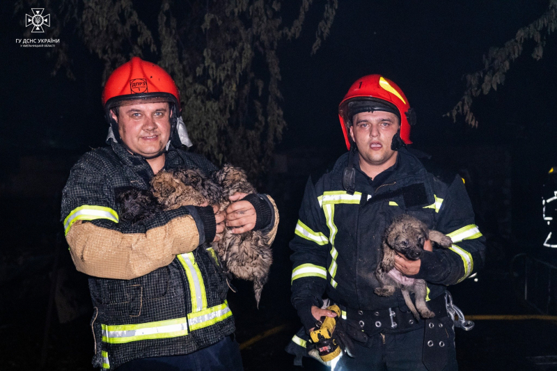 Firefighting, clearing rubble, eliminating the consequences of attacks: how Ukrainian rescuers risk their own lives saving others