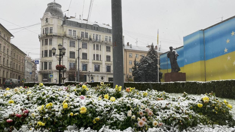 The west of Ukraine was covered with snow: in some regions special equipment took to the streets