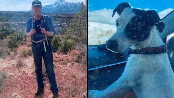 A dog sat near the body of its dead owner in the mountains for two months